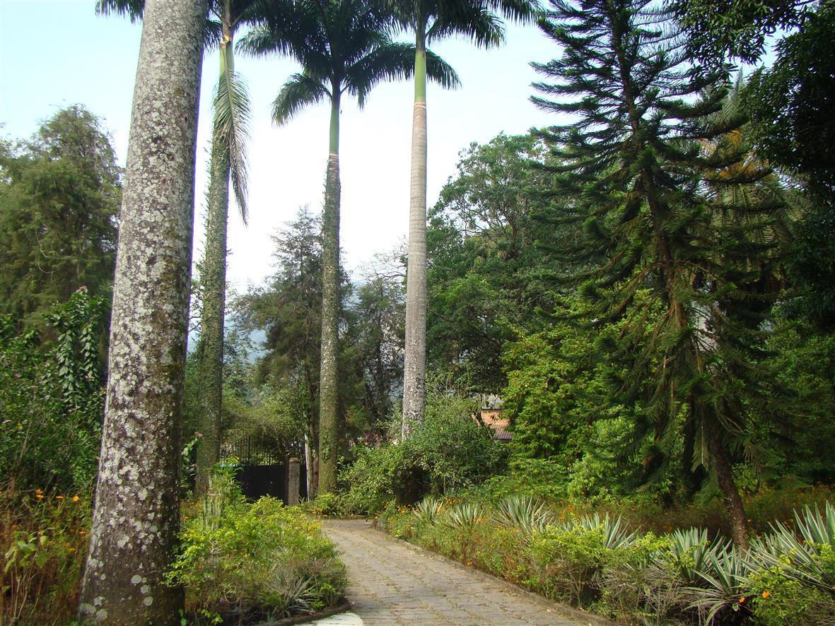 Casa De Campo Dos Sonhos Bed and Breakfast Cachoeiras de Macacu Εξωτερικό φωτογραφία